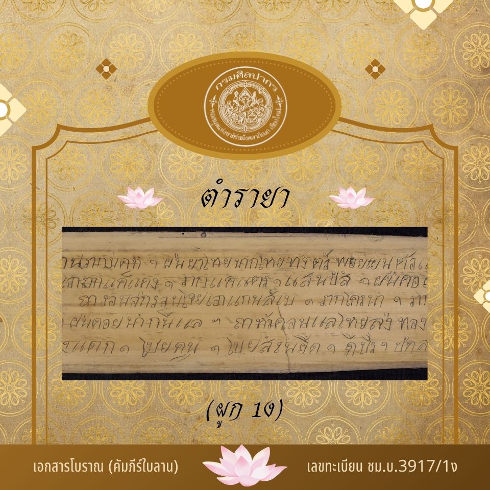 ภาพปกของ ตำรายาแก้เลือด, ลม, ฝี เป็นต้น (ผูก 1ง)