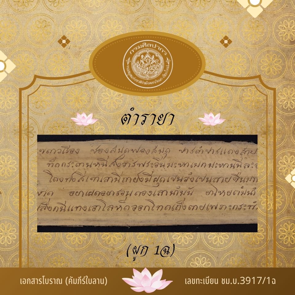 ภาพปกของ ตำรายาแก้เลือด, ลม, ฝี เป็นต้น (ผูก 1ฉ)
