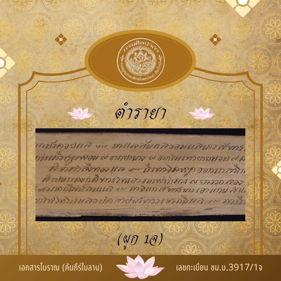 ภาพปกของ ตำรายาแก้เลือด, ลม, ฝี เป็นต้น (ผูก 1จ)